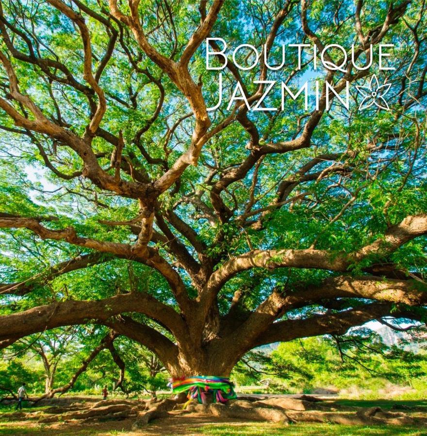 Boutique Jazmin Apartment Alicante Ngoại thất bức ảnh
